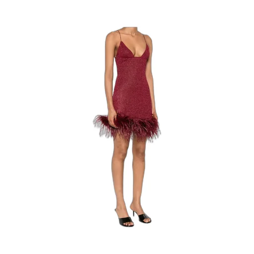 LumiÈRe Plumage Mini Dress
