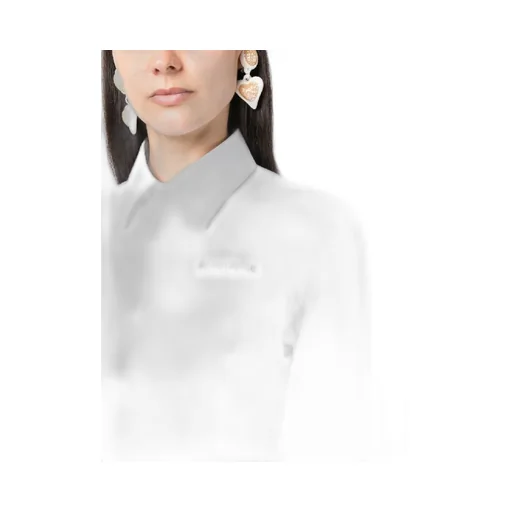 Long Sleeve Cropped Shirt