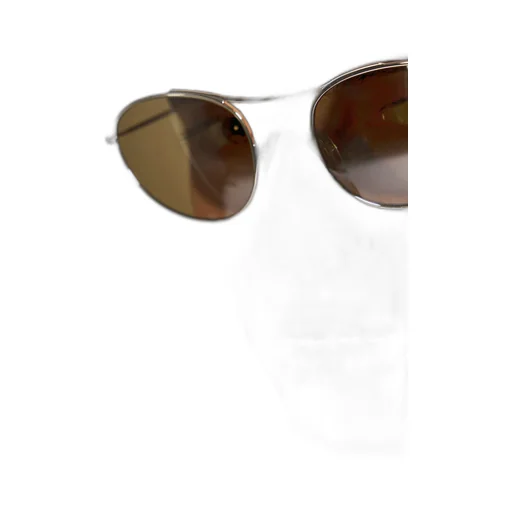 Zwan Oval Sunglasses
