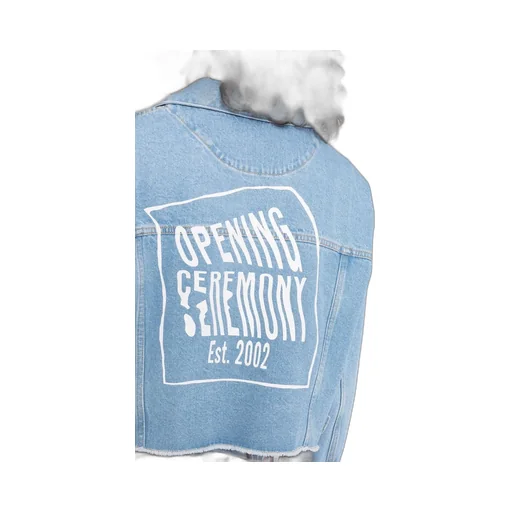 Cropped Denim Jacket