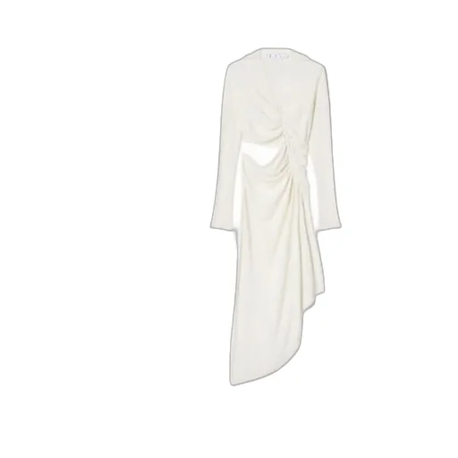 Ruched Long-Sleeved Dress