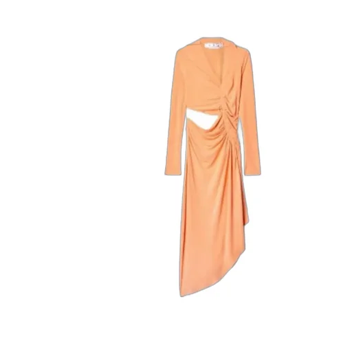 Ruched Long-Sleeved Dress