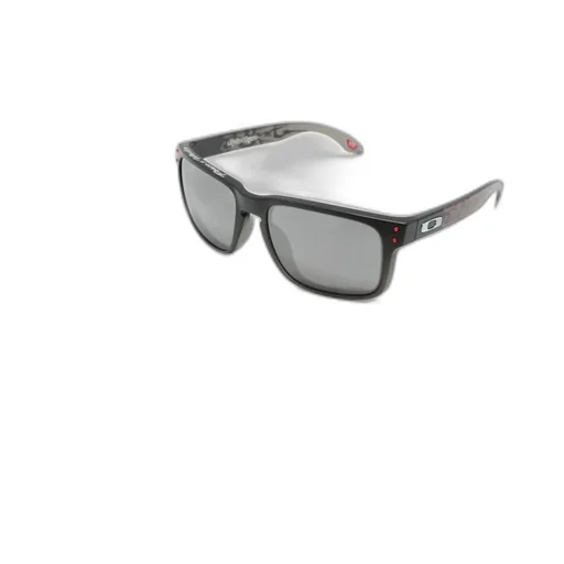 Holbrook Sunglasses