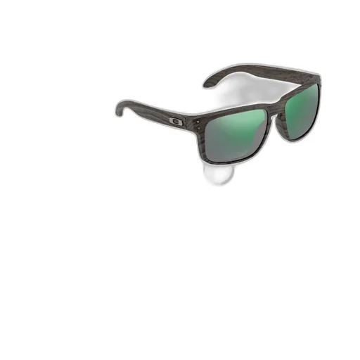 Holbrook Sunglasses