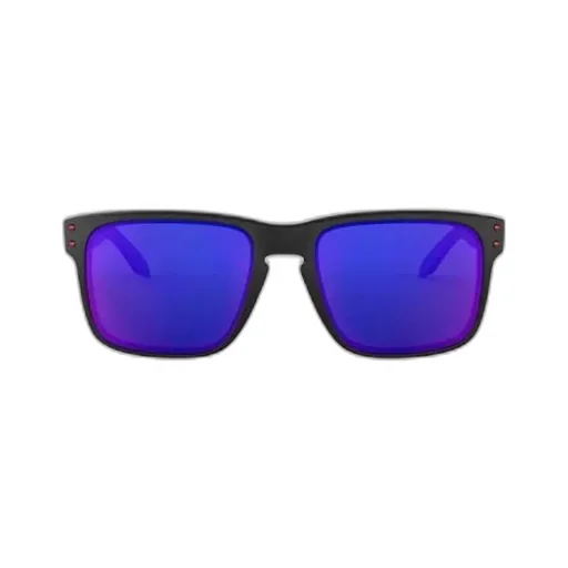 Holbrook Matte Square Sunglasses