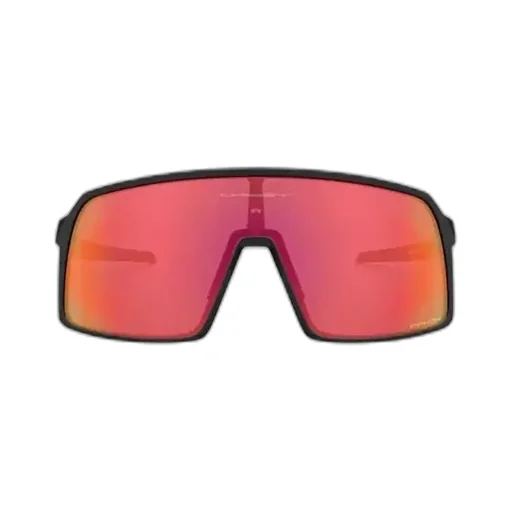 Sutro Tinted Sunglasses