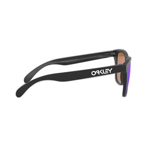 Frogskins Gradient Lens Sunglasses