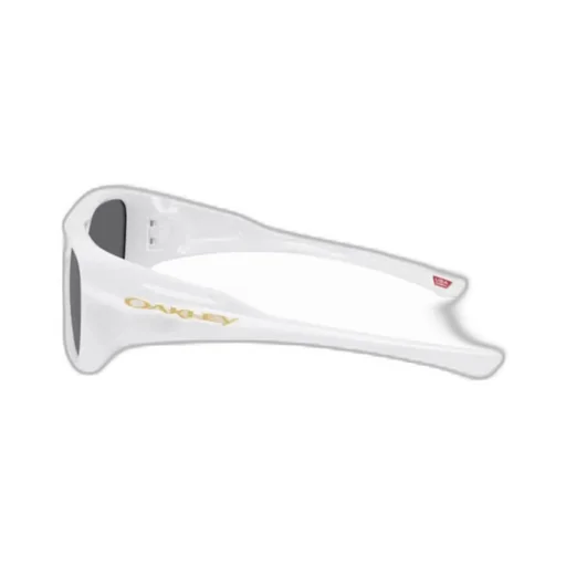 Chaminade Sunglasses