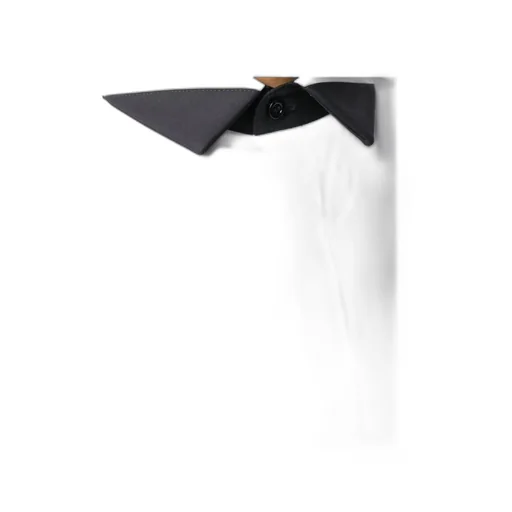 Contrast Pointed Lapel Shirt