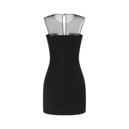 Tulle Insert Mini Dress