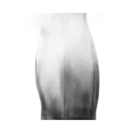 Tulle Insert Mini Dress