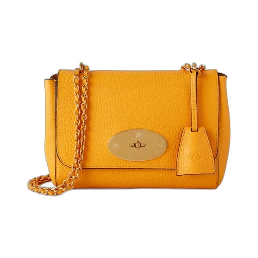 Lily Leather Satchel Bag
