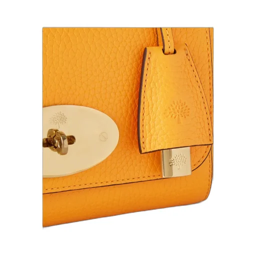 Lily Leather Satchel Bag