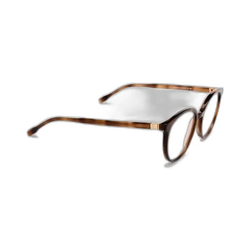 Ayan Round Frame Glasses