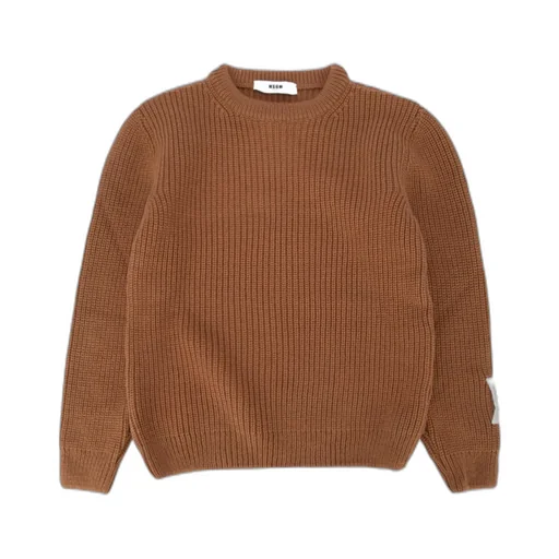 Logo Intarsia Crewneck Long-Sleeved Jumper