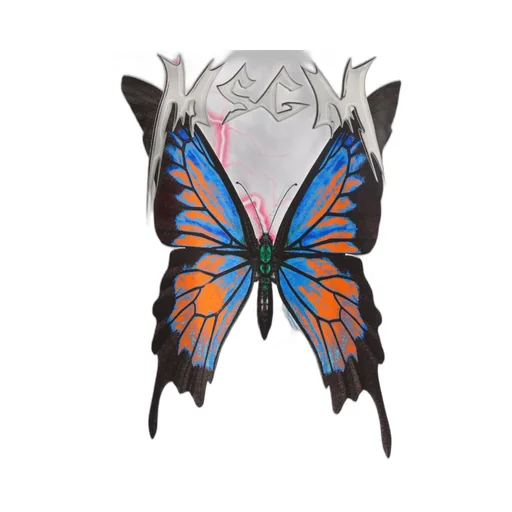 Butterfly Print Short Sleeve T-Shirt
