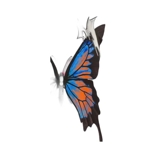 Butterfly Print Short Sleeve T-Shirt