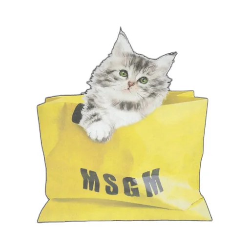 Oversized Kitty Cotton T-Shirt