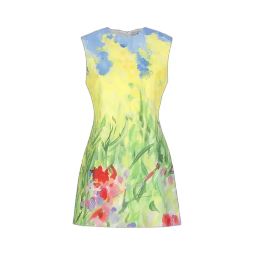 Printed Sleeveless Mini Dress