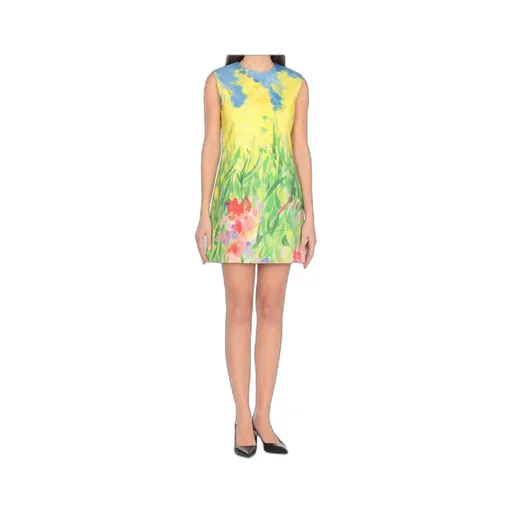 Printed Sleeveless Mini Dress