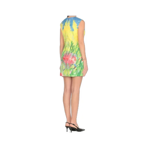 Printed Sleeveless Mini Dress