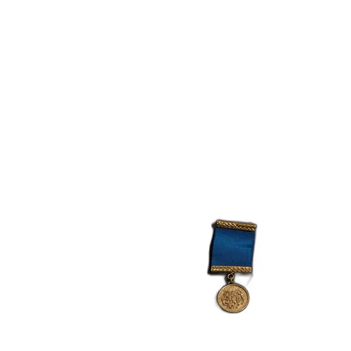 Medal Ribbon Brooch