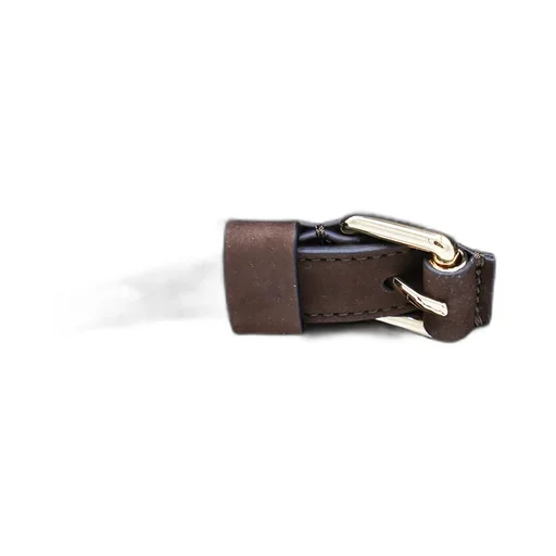 Buckle Shoulder Bag