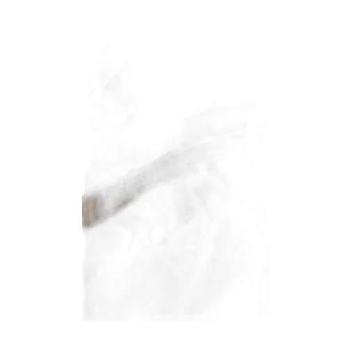Logo-Detailed Fringed Scarf