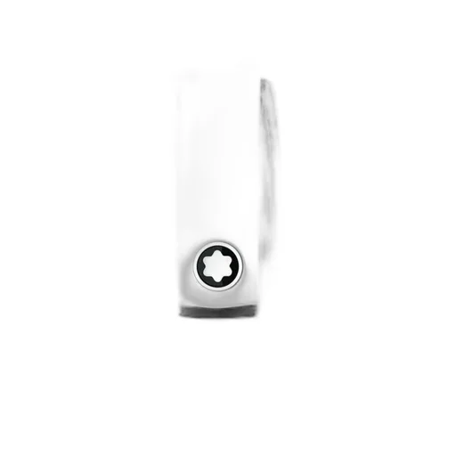 Logo Belt
