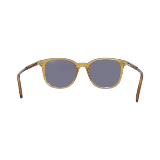 Square Frame Sunglasses