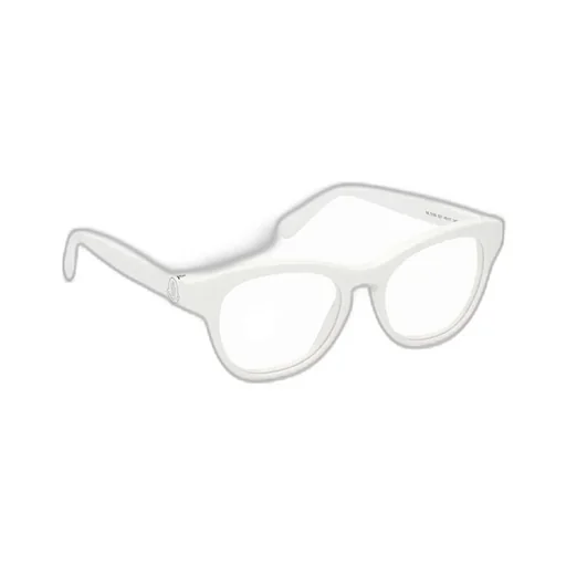 Round Frame Glasses