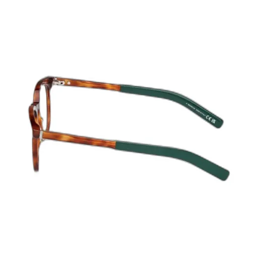 Round Frame Glasses