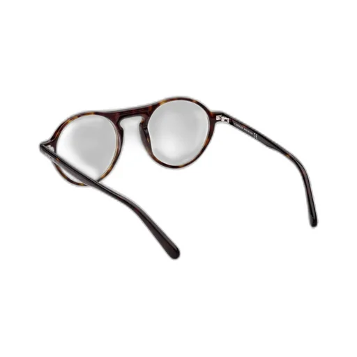 Round Frame Glasses