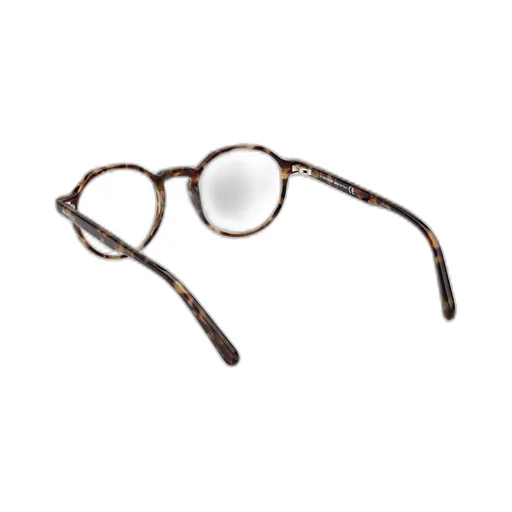 Round Frame Glasses