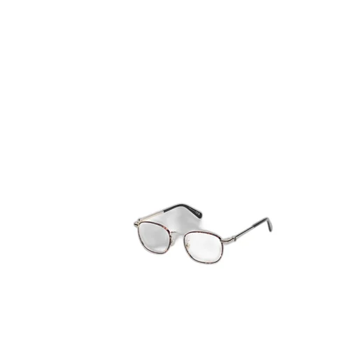 Oval Frame Glasses