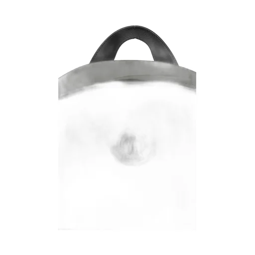 New Pierrick Backpack