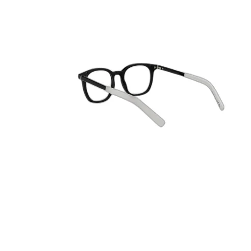 Round Frame Glasses