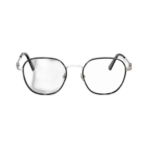Pantos Frame Glasses