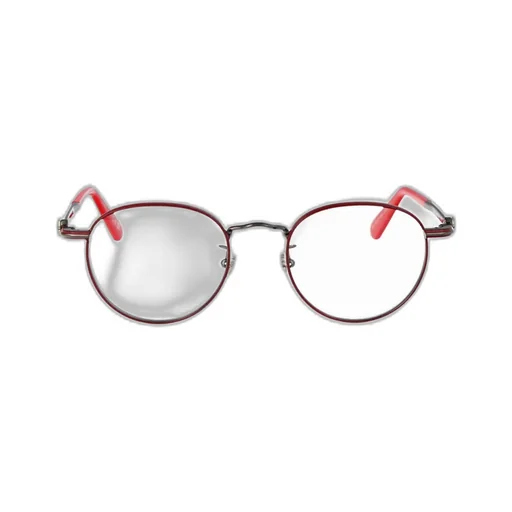 Pantos Frame Glasses