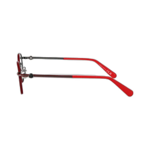 Pantos Frame Glasses