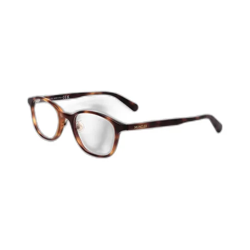 Oval Frame Glasses
