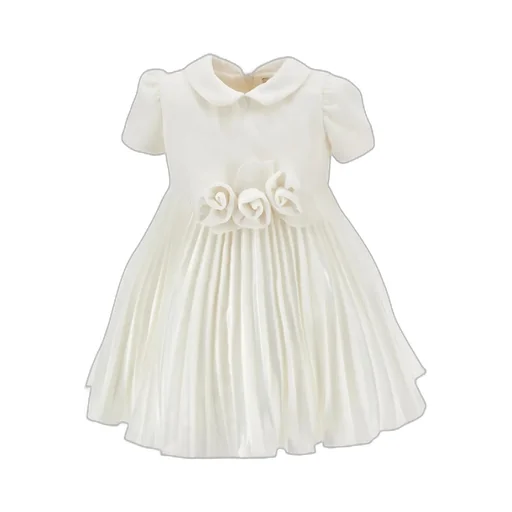 Velvet Rose Embellished Dress