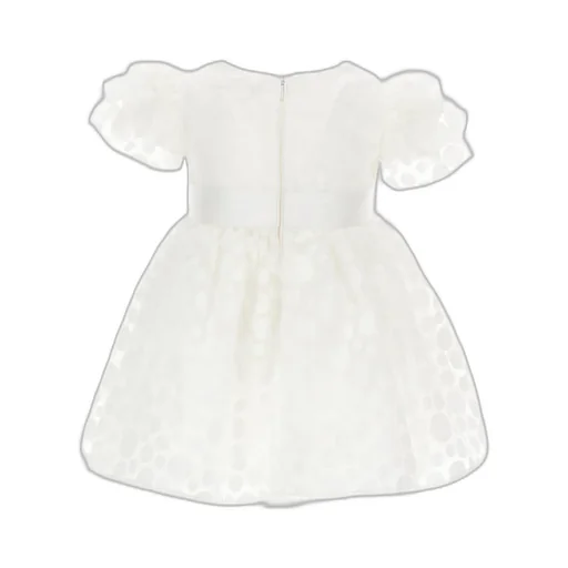 Polka Dot Printed Ruffled Dress