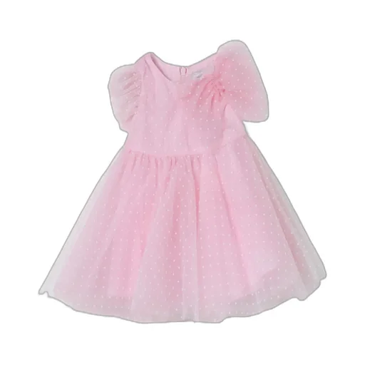 Point D’Esprit Flared Dress