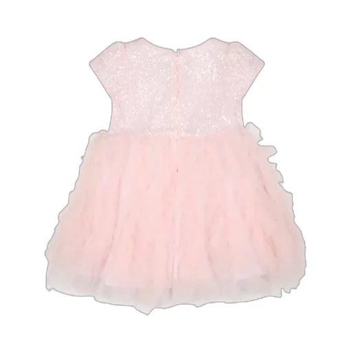 Ruffled Tulle Flared Dress