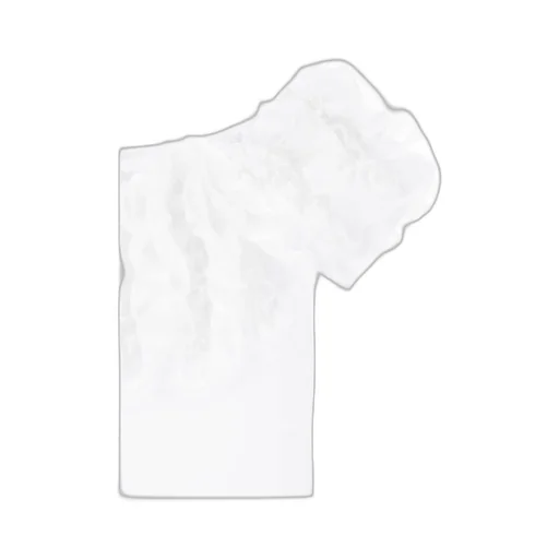Ruffled T-Shirt