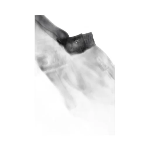 Ski Bib