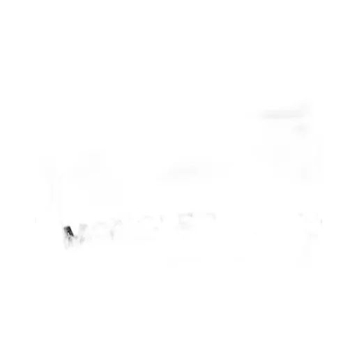 Stennes Ski Down Jacket