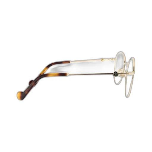 Oval Frame Glasses