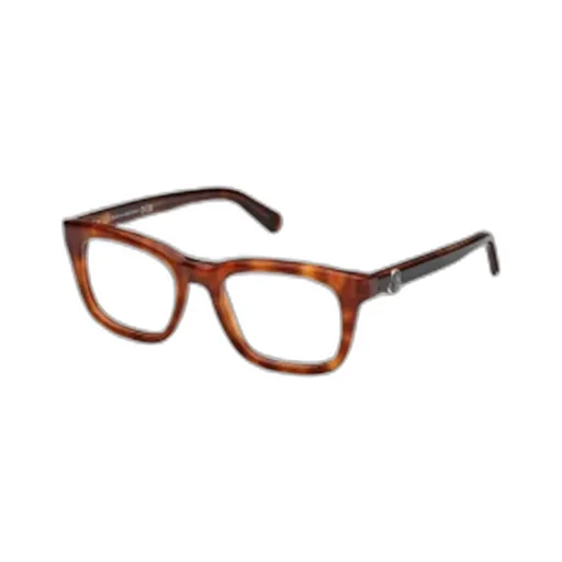 Wayfarer Frame Glasses